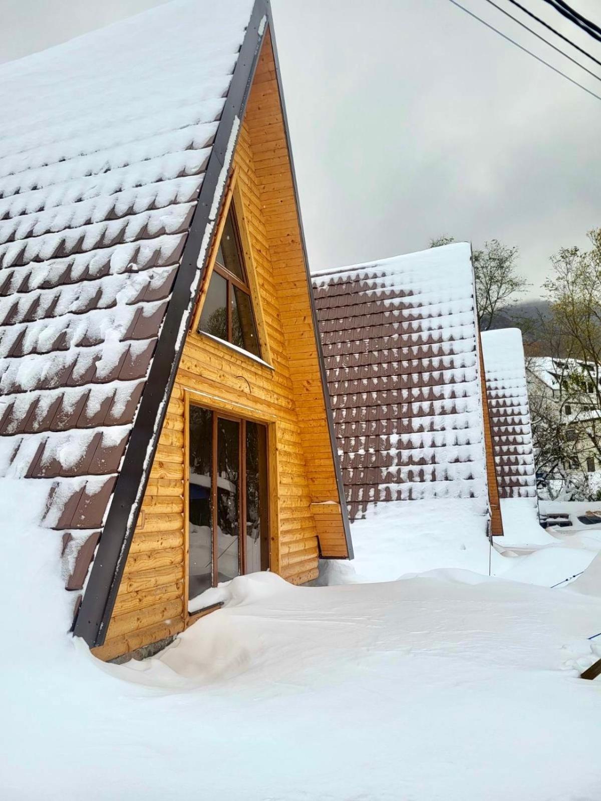 Brvnare Todorovic Villa Crni Vrh Bagian luar foto